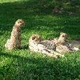 EXC/2003.08.27/fotky/P8270019.JPG