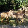 EXC/2003.08.27/fotky/P8270067.JPG