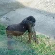 EXC/2003.08.27/fotky/P8270076.JPG