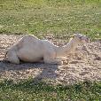 EXC/2003.08.27/fotky/P8270084.JPG