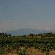 MTB_expedice/2006.07-4-Provance/fotky/093-Mount_Ventoux_(Vasek_foto).jpg