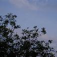 priroda/2003.05.14/fotky/P5100001.JPG